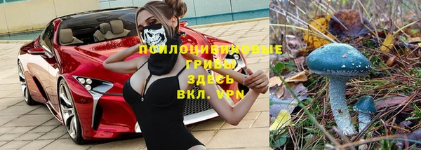 крисы Лиски