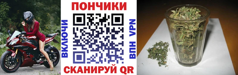 Шишки марихуана планчик  Устюжна 